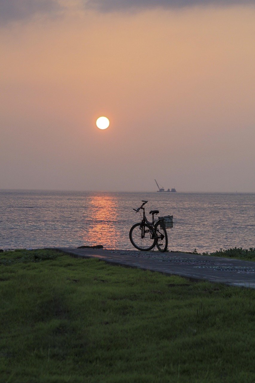 coast, sunrise, bicycle, plant, nature, jeju island, landscape, ocean, plants, rest, relaxation, healing, break, the nature of the
