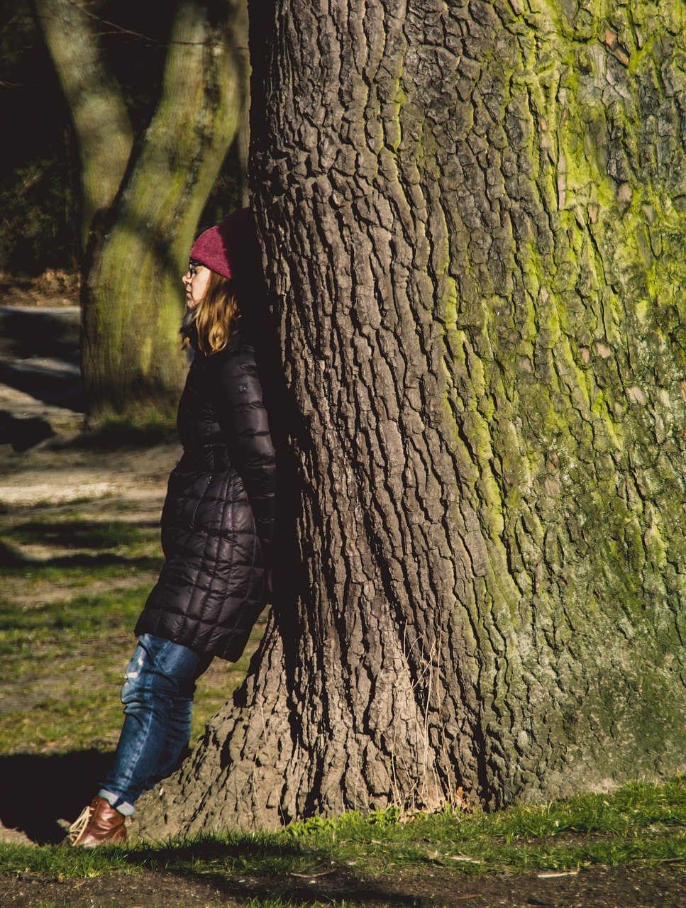 tree, person, quiet, power, relaxation, healing, nature, peace, throughts
